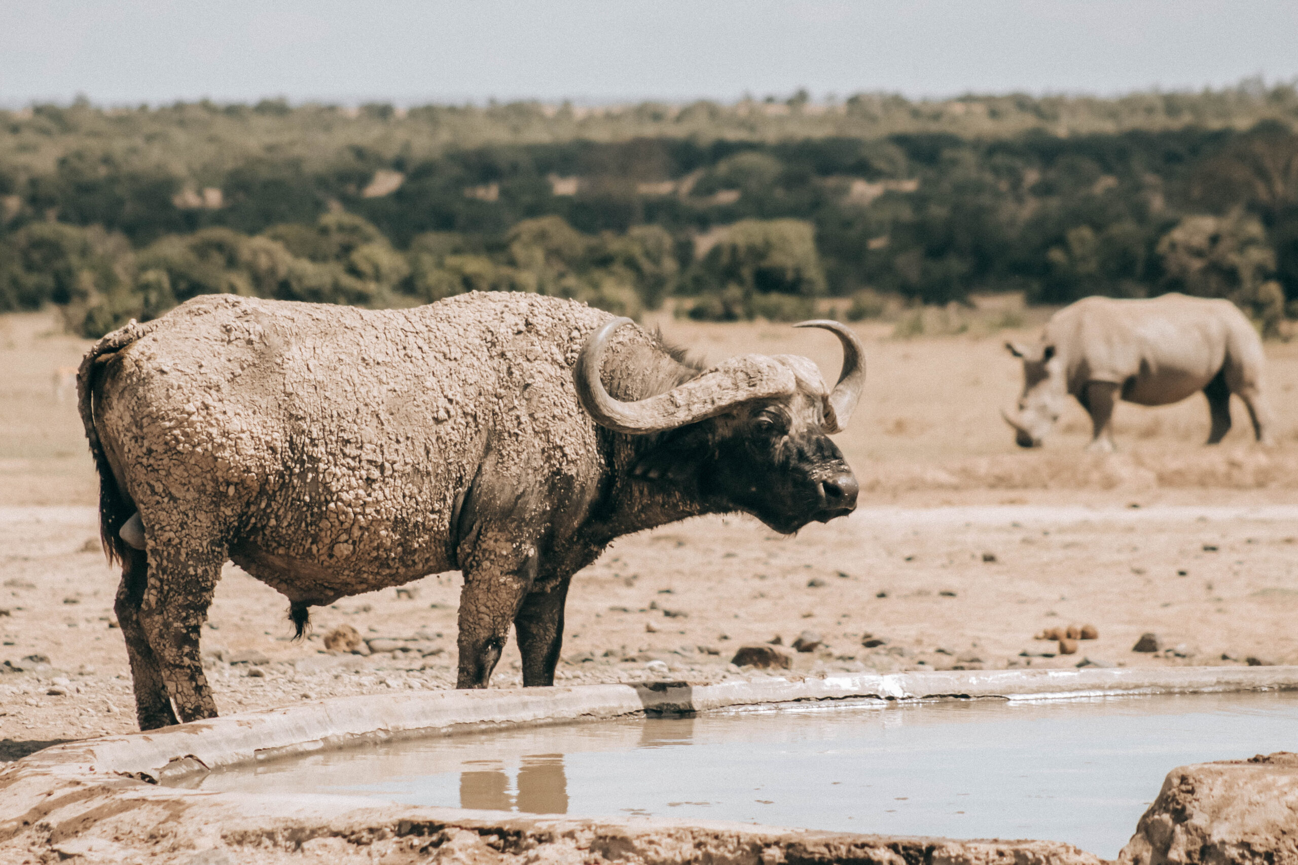 Nairobi National Park
