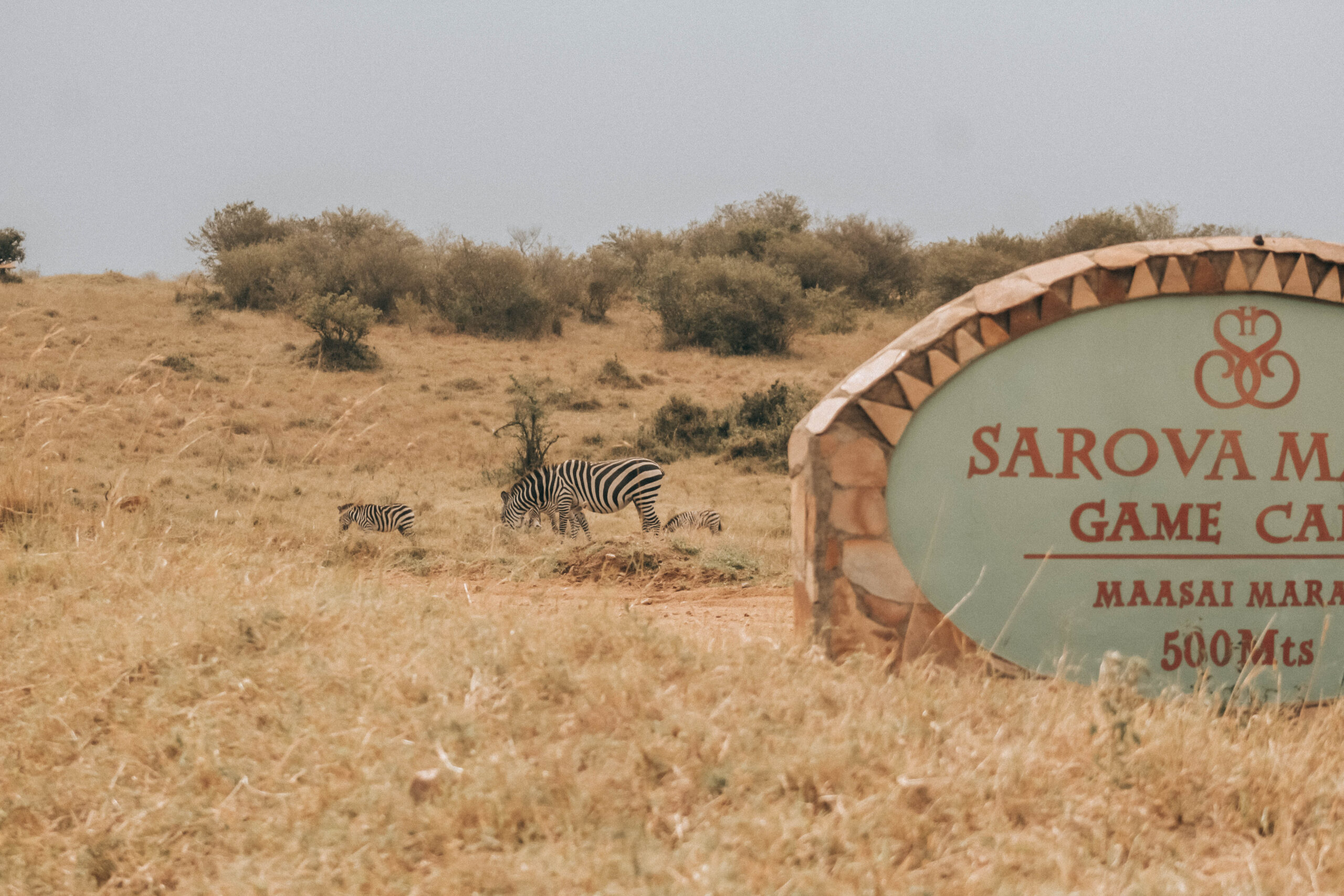 Do Game Drives differ between Mara and Serengeti?