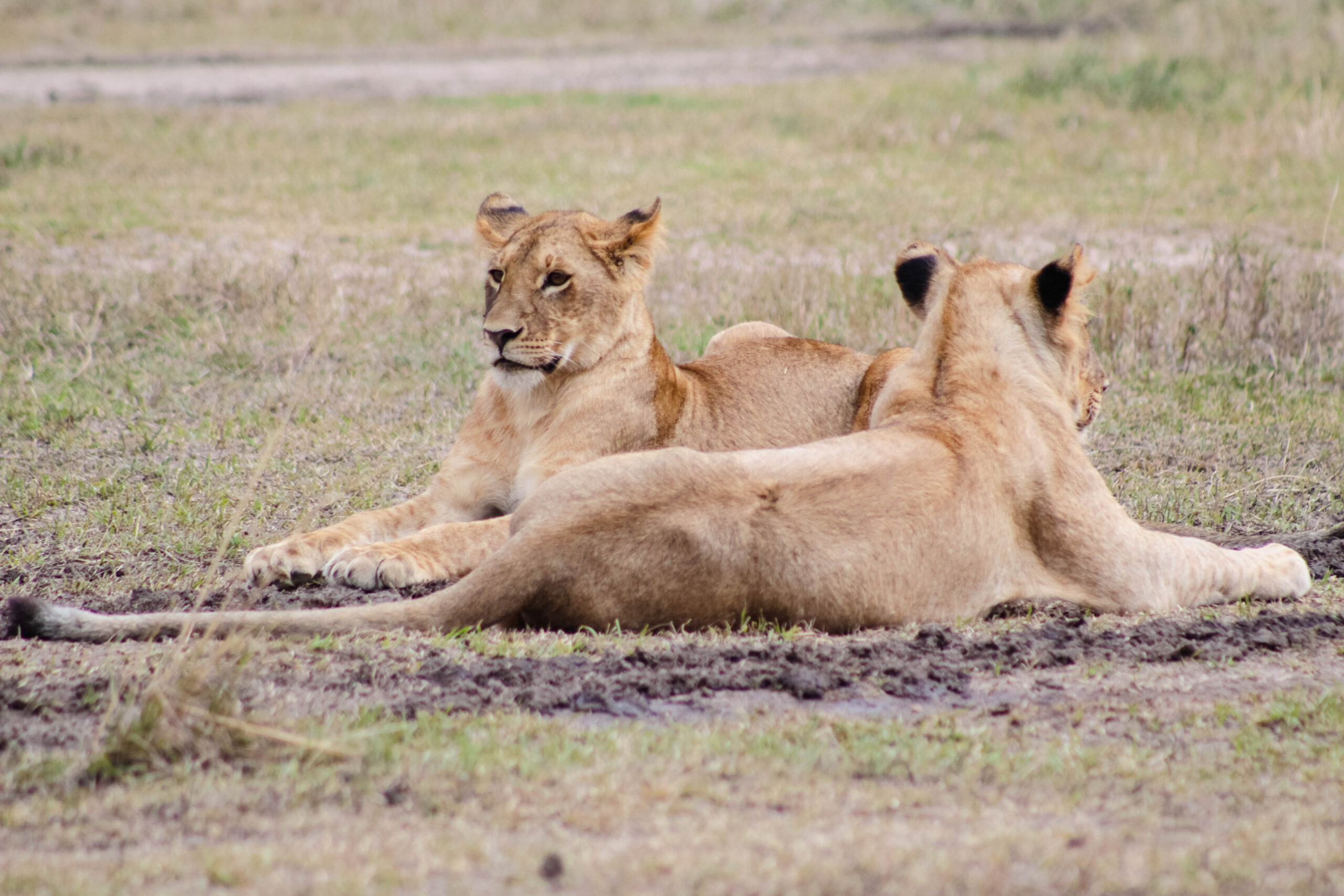 Maasai Mara National Park