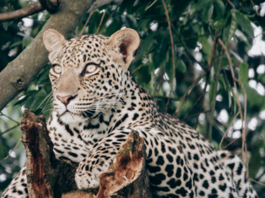 Where to Go Next After Morocco