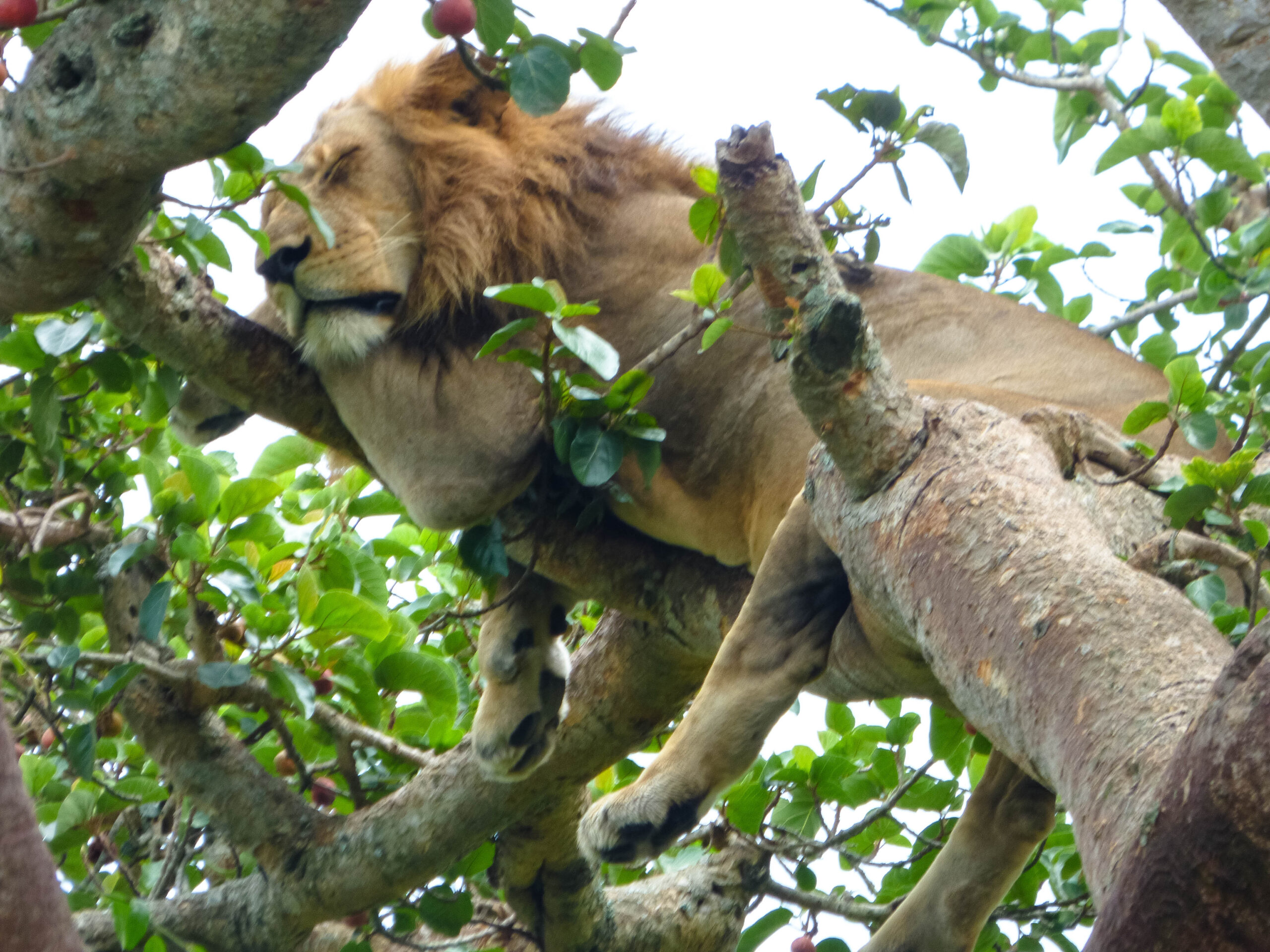Lake Manyara National Park