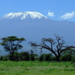 Experiencing Kilimanjaro from Above