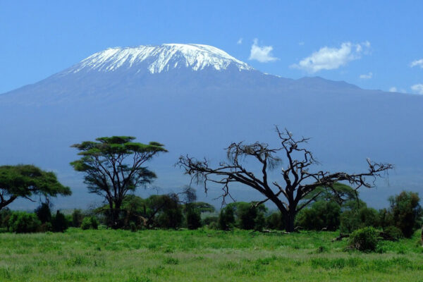 Experiencing Kilimanjaro from Above