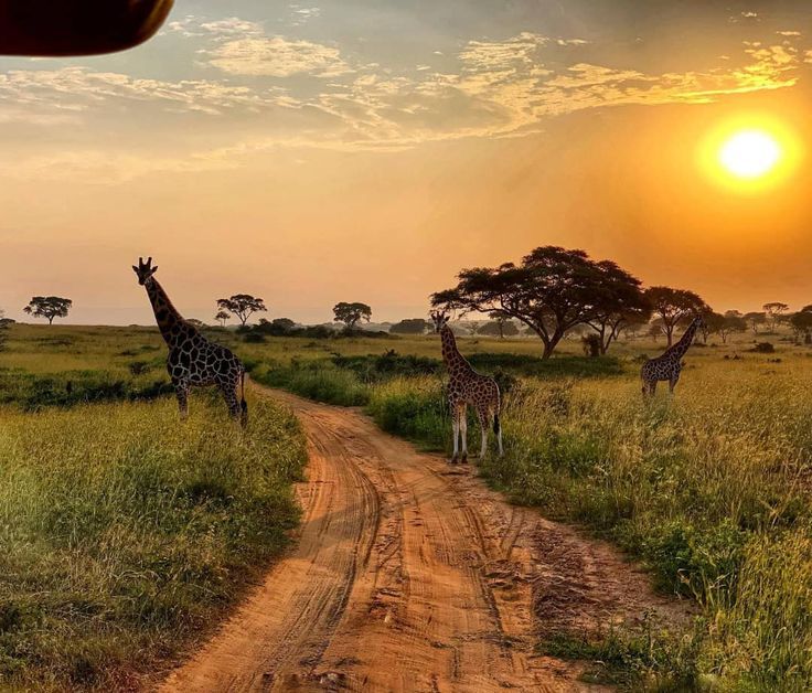 Is It Safe to Travel to East Africa