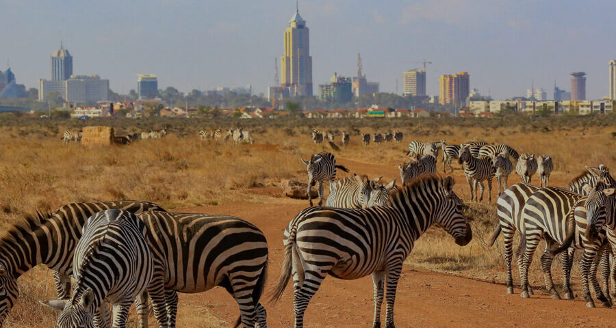 Nairobi National Park