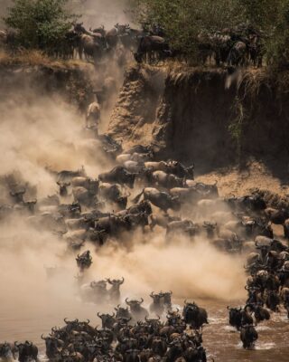 When to See the Great Migration in Tanzania