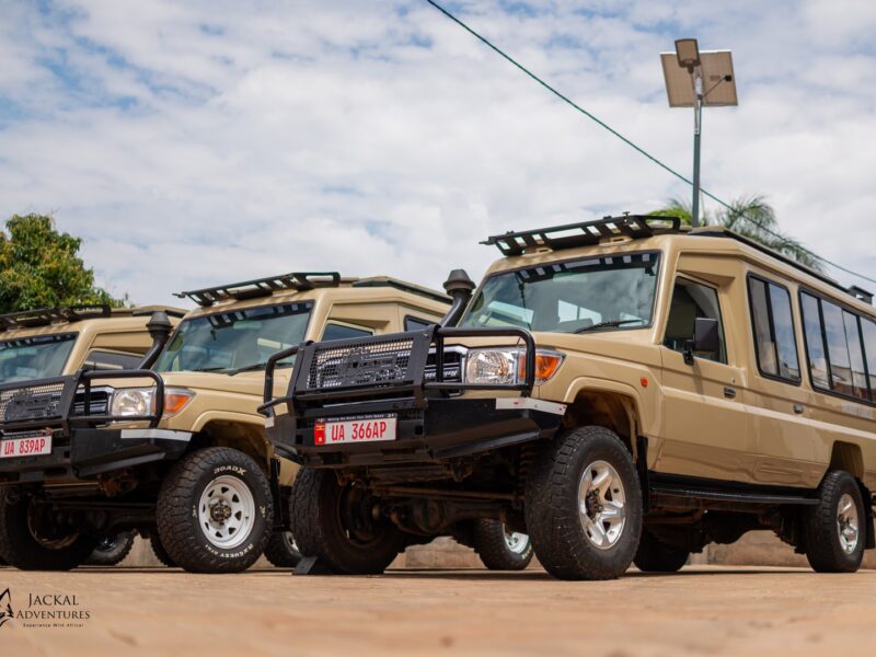 ssenyonyiderrickImages