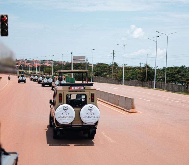 Jackal Adventures Safari Vehicles