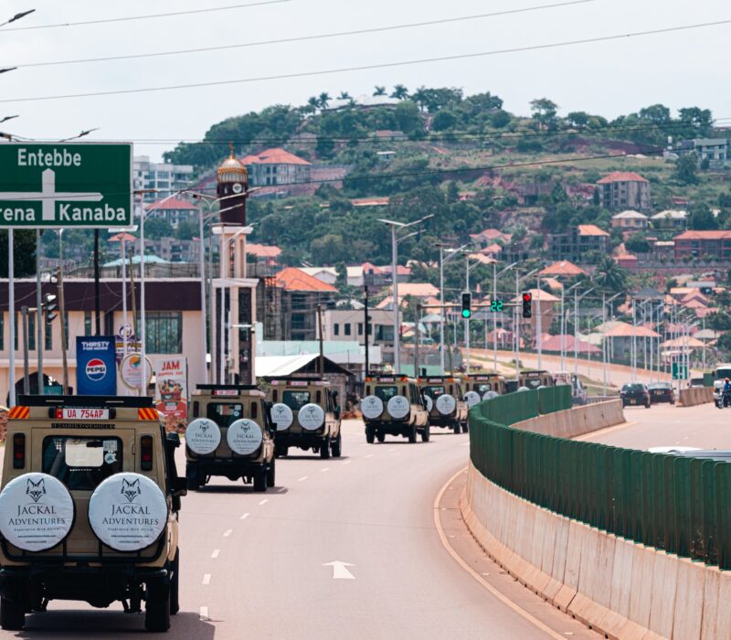 Jackal Adventures’ Vehicle Fleet