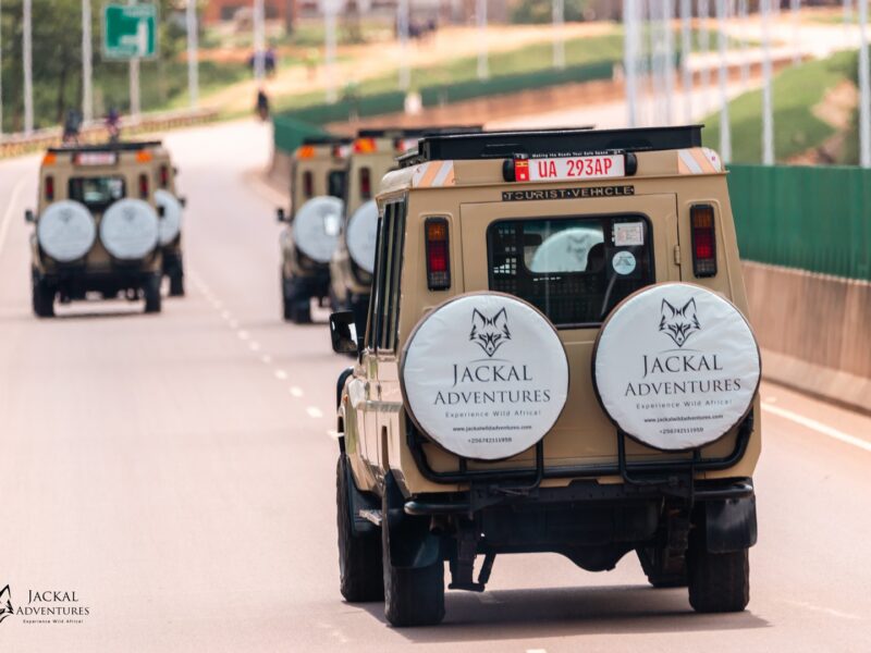 ssenyonyiderrickImages