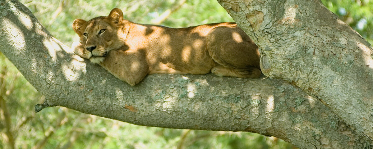 Safe Haven Tourism 2026