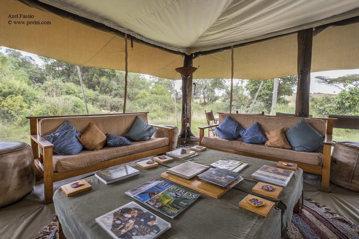 Night Game Drives in Kenya